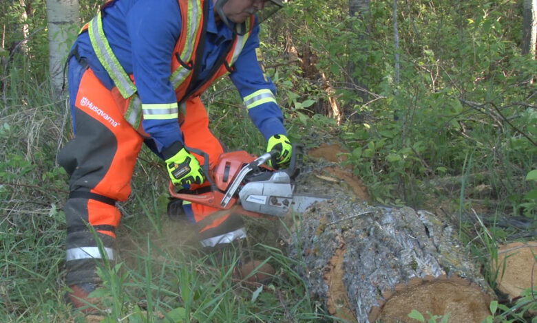 online chainsaw training