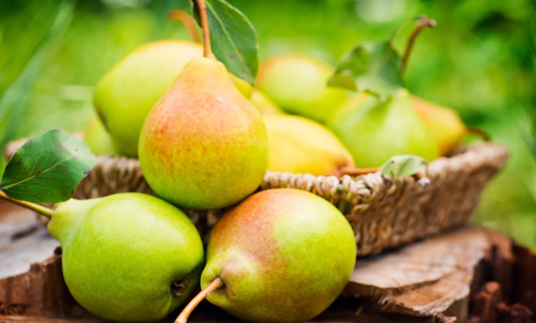 Pear Fruit Has Many Health Benefits￼Pear Fruit Has Many Health Benefits