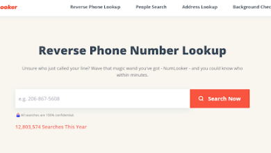 Phone Number Search Sites
