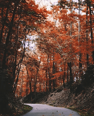 5120x1440p 329 fall image