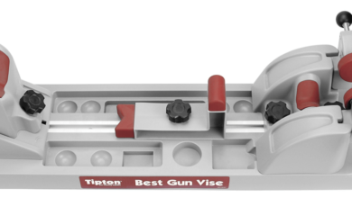 gun vise for cleaning