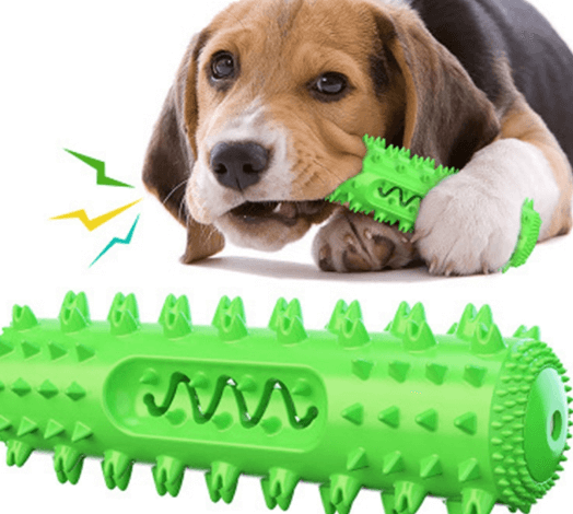 dog teeth cleaning toy