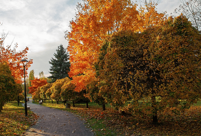 5120x1440p 329 autumn images