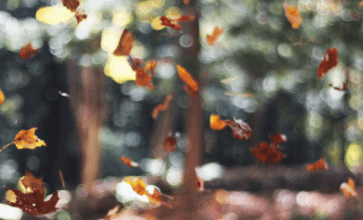 5120x1440p 329 autumn wallpaper