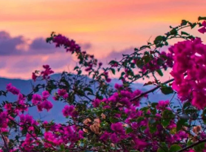 5120x1440p 329 spring wallpaper