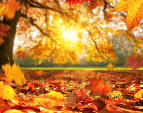 5120x1440p 329 autumn image