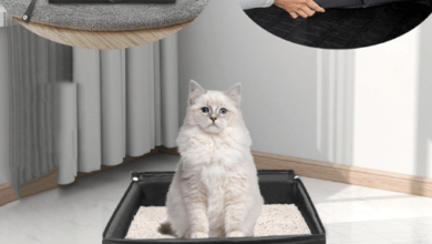 travel litter box