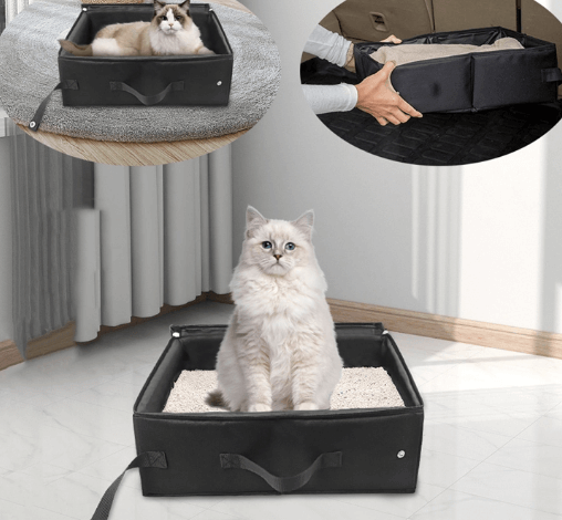 travel litter box