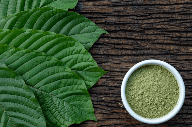 The Exciting Kratom Journey: Have You Started It Yet?