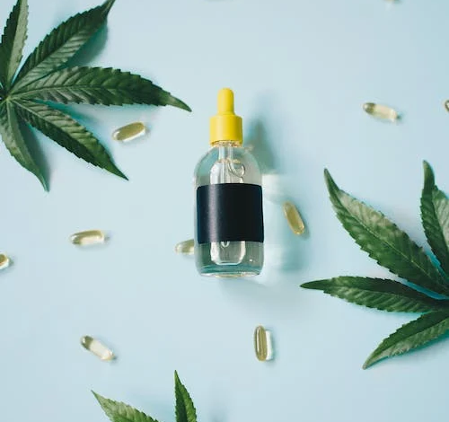 Which Strength Of CBD Oil Tincture Is Best For A Beginner?