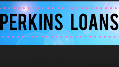 what is a perkins loan